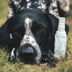 Hondenparfum Spray In 4 Geuren - Greenfields - Alchoholvrije En PH Neutrale Formule Tegen Onaangename Geurtjes - 50ml - Wild 30 Hondenparfum Spray In 4 Geuren - Greenfields - Alchoholvrije En PH Neutrale Formule Tegen Onaangename Geurtjes - 50ml - Wild -Hondenserie Winkel 1200x1200 1297