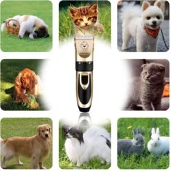 Thuys Hondentondeuse Set Voor Dikke Vacht - Tondeuse Set Voor Honden Draadloos - Set Voor Langharige Honden Met 4 Opzetstukken 12 Thuys Hondentondeuse Set Voor Dikke Vacht - Tondeuse Set Voor Honden Draadloos - Set Voor Langharige Honden Met 4 Opzetstukken -Hondenserie Winkel 1200x1200 1302