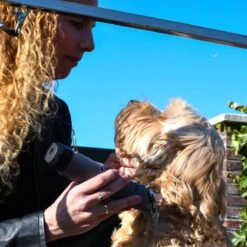 Clipr Ultimate 2-speed Hondentondeuse Op Accu -Hondenserie Winkel 1200x1200 1304