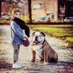 IGOODS - Uitlaatriem - Honden Riem - Katten Riem - Uitlaatriem Voor Dieren - Rollijn - 5 Meter Lang Roze 16 IGOODS - Uitlaatriem - Honden Riem - Katten Riem - Uitlaatriem Voor Dieren - Rollijn - 5 Meter Lang Roze -Hondenserie Winkel 1200x1200 1317