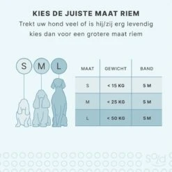 Hondenriem Tape - 5 Meter - Medium - Voor Honden <25 Kg - Zwart-Wit 15 Hondenriem Tape - 5 Meter - Medium - Voor Honden <25 Kg - Zwart-Wit -Hondenserie Winkel 1200x1200 1326