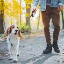 Hondenriem Tape - 5 Meter - Medium - Voor Honden <25 Kg - Zwart-Wit 16 Hondenriem Tape - 5 Meter - Medium - Voor Honden <25 Kg - Zwart-Wit -Hondenserie Winkel 1200x1200 1327