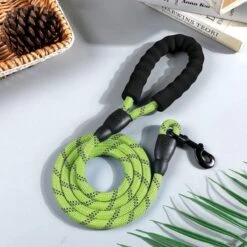 Comfortabele Hondenriem Met Gevoerd Handvat – Stevige Nylon Hondenlijn – Riem Voor Honden -Hondenserie Winkel 1200x1200 1334