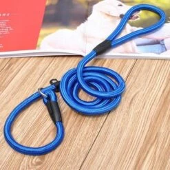 LOUZIR Cesar Millan Sliplijn -Nylon - Hondenriem -verstelbaar- Blauw - 130 Cm 7 LOUZIR Cesar Millan Sliplijn -Nylon - Hondenriem -verstelbaar- Blauw - 130 Cm -Hondenserie Winkel 1200x1200 1337