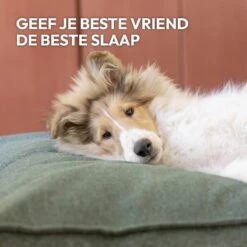 Snoozle Orthopedische Hondenmand - Zacht En Luxe Hondenkussen - Hondenbed - Wasbaar - Hondenmanden - 100 X 70 Cm - Stormy Grey 21 Snoozle Orthopedische Hondenmand - Zacht En Luxe Hondenkussen - Hondenbed - Wasbaar - Hondenmanden - 100 X 70 Cm - Stormy Grey -Hondenserie Winkel 1200x1200 135