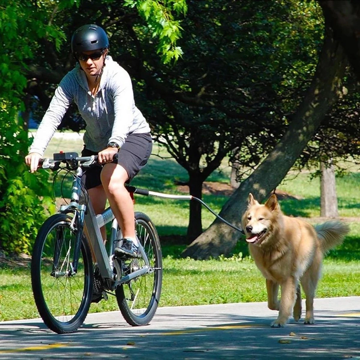 Fiets Hondenriem - Fietsbeugel Voor De Hond -Honden Fietsbeugel - Hondenlijn-Lijn Dog- Afstandshouder Hond 4 Fiets Hondenriem - Fietsbeugel Voor De Hond -Honden Fietsbeugel - Hondenlijn-Lijn Dog- Afstandshouder Hond - Afbeelding 2