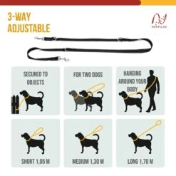 Happilax Dog Leash 2m Adjustable - Black/Reflective - 3-Step Adjustable Leash - Double Leash, Tug Leash - Geschikt Als Hondenriem Voor Grote Honden Of Als Sleepriem Voor Kleine Honden. -Hondenserie Winkel 1200x1200 1361