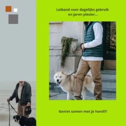 1FORME Hondenriem 15-30kg - Sliplijn Hond REFLECTEREND 2m, Ø 1.2cm - Jachtlijn 2 Ergonomische Handvaten - Dubbel Stop -Hondenserie Winkel 1200x1200 1379