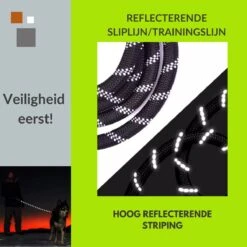 1FORME Hondenriem 15-30kg - Sliplijn Hond REFLECTEREND 2m, Ø 1.2cm - Jachtlijn 2 Ergonomische Handvaten - Dubbel Stop -Hondenserie Winkel 1200x1200 1381