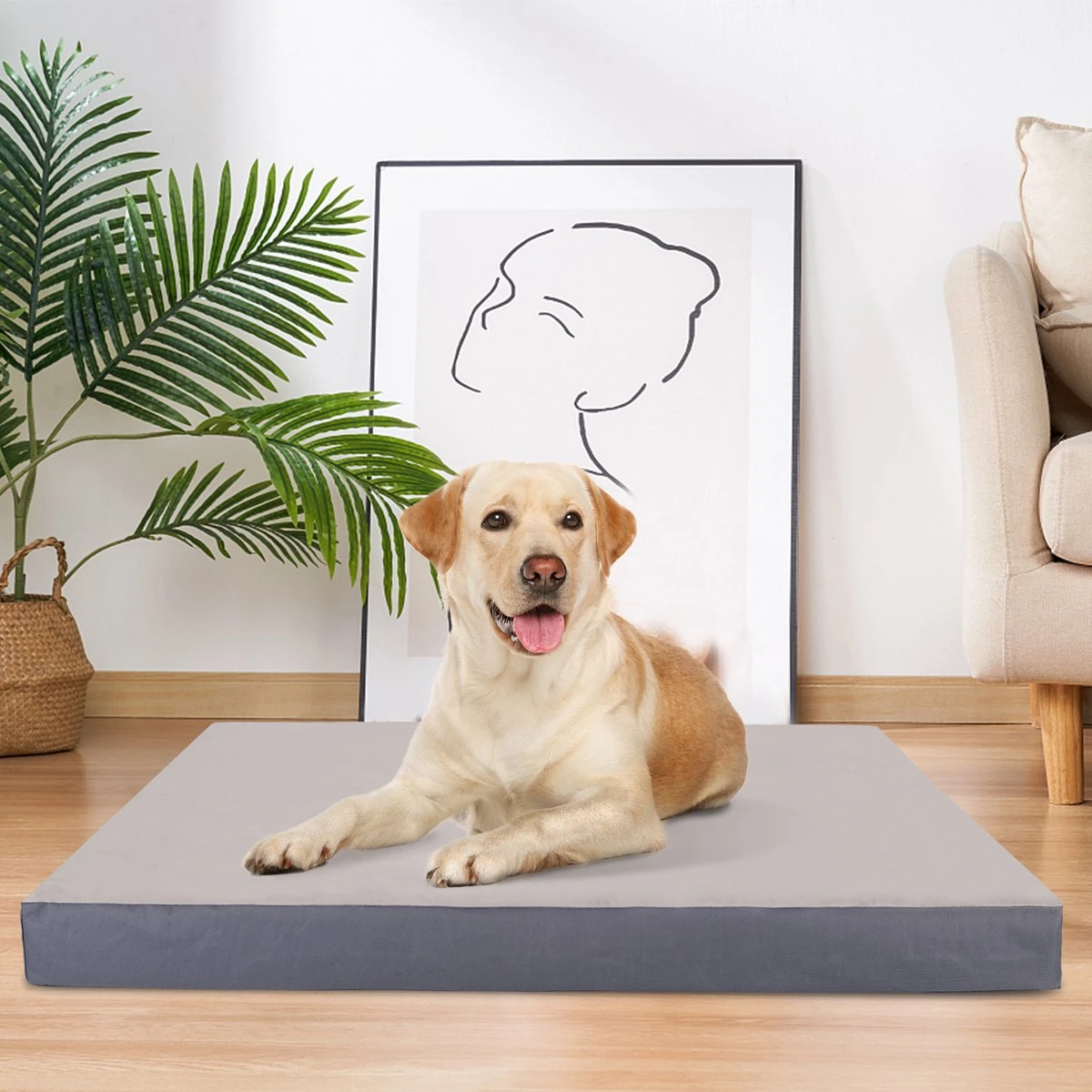 Nobleza Orthopedische Hondenkussen Wasbaar - Hondenbed - Maat XL: 110 X 80 X 8 Cm - Grijs 10 Nobleza Orthopedische Hondenkussen Wasbaar - Hondenbed - Maat XL: 110 X 80 X 8 Cm - Grijs - Afbeelding 8