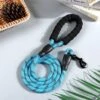 Merkloos Reflecterende Hondenriem - Nylon Hondenlijn – Honden Riem Met Soft Handvat – Blauw – 150CM -Hondenserie Winkel 1200x1200 1395