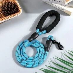 Merkloos Reflecterende Hondenriem - Nylon Hondenlijn – Honden Riem Met Soft Handvat – Blauw – 150CM