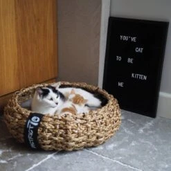 District 70 COCOON - Luxe Hondenmand Van Duurzaam Hoogwaardig Riet Met Zacht Kussen - Maten S/M/L - Large 28 District 70 COCOON - Luxe Hondenmand Van Duurzaam Hoogwaardig Riet Met Zacht Kussen - Maten S/M/L - Large -Hondenserie Winkel 1200x1200 14