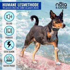 Nola & Coco® Oplaadbare Anti Blafband - 4 Kleuren - Zonder Schok - Waterdichte Diervriendelijke Blaf Halsband - Opvoedingshalsband - Voor Grote En Kleine Honden - Lichte Vibratie En Geluid - 3 Tot 60kg -Hondenserie Winkel 1200x1200 1404