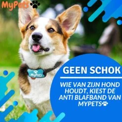 MyPets™ Anti-blafband - Anti Blaf Apparaat - Voor Kleine Honden En Grote Honden - Diervriendelijk - Opvoedingshalsband - Trainingshalsband - 2022/2023 Versie - Inclusief Batterijen 14 MyPets™ Anti-blafband - Anti Blaf Apparaat - Voor Kleine Honden En Grote Honden - Diervriendelijk - Opvoedingshalsband - Trainingshalsband - 2022/2023 Versie - Inclusief Batterijen -Hondenserie Winkel 1200x1200 1410