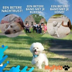 MyPets™ Anti-blafband - Anti Blaf Apparaat - Voor Kleine Honden En Grote Honden - Diervriendelijk - Opvoedingshalsband - Trainingshalsband - 2022/2023 Versie - Inclusief Batterijen 21 MyPets™ Anti-blafband - Anti Blaf Apparaat - Voor Kleine Honden En Grote Honden - Diervriendelijk - Opvoedingshalsband - Trainingshalsband - 2022/2023 Versie - Inclusief Batterijen -Hondenserie Winkel 1200x1200 1413