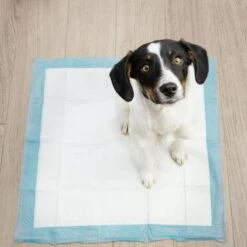 Springos Puppy Training Pads| Plasmatjes Hond | Zindelijkheidstraining | 10 Stuks | 35 X 45 Cm -Hondenserie Winkel 1200x1200 1416