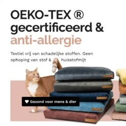 Rexproduct Hondenkussen - Hondenmand - Hondenbed Met Rits En Wasbaar - Manden & Kussens 90 X 110 CM - 0 Tot 80 Kg - SoftPet Groen -Hondenserie Winkel 1200x1200 142