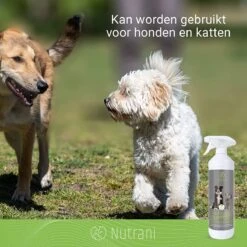 Nutrani Geurverwijderaar, 750 Ml, Natuurlijke Enzymreiniger Als Gebruiksklare Spray Met Biologische Werking, Verwijdert Geurtjes, Urine, Poep En Vlekken Van Honden En Katten -Hondenserie Winkel 1200x1200 1436