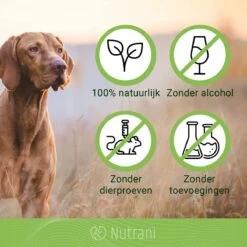 Nutrani Geurverwijderaar, 750 Ml, Natuurlijke Enzymreiniger Als Gebruiksklare Spray Met Biologische Werking, Verwijdert Geurtjes, Urine, Poep En Vlekken Van Honden En Katten -Hondenserie Winkel 1200x1200 1438