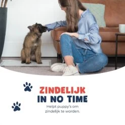 JC Pets Premium Puppy Training Pads - Hondentoilet - Zindelijkheidstraining Hond - 100 Stuks - 60 X 45 Cm 16 JC Pets Premium Puppy Training Pads - Hondentoilet - Zindelijkheidstraining Hond - 100 Stuks - 60 X 45 Cm -Hondenserie Winkel 1200x1200 1469