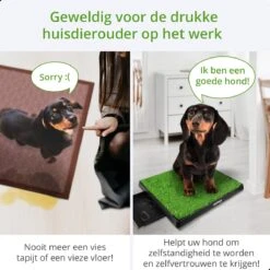 AWEMOZ Hondentoilet Kunstgras - Met 2 Matten En Opvangbak - 64x52x7,5cm - Puppy Pads - Zindelijkheidstraining Hond - Training Pads - Indoor / Outdoor Honden Toilet 15 AWEMOZ Hondentoilet Kunstgras - Met 2 Matten En Opvangbak - 64x52x7,5cm - Puppy Pads - Zindelijkheidstraining Hond - Training Pads - Indoor / Outdoor Honden Toilet -Hondenserie Winkel 1200x1200 1478