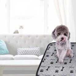 Jooba Puppy Training Pads - Wasbare Puppy Pads 2 Stuks - Hondentoilet - 70x50cm - Puppy 17 Jooba Puppy Training Pads - Wasbare Puppy Pads 2 Stuks - Hondentoilet - 70x50cm - Puppy -Hondenserie Winkel 1200x1200 1487