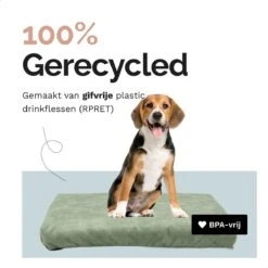 Rexproduct Hondenkussen - Hondenmand - Hondenbed Met Rits En Wasbaar - Manden & Kussens 90 X 110 CM - 0 Tot 80 Kg - SoftPet Groen -Hondenserie Winkel 1200x1200 149