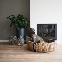 District 70 COCOON - Luxe Hondenmand Van Duurzaam Hoogwaardig Riet Met Zacht Kussen - Maten S/M/L - Large 29 District 70 COCOON - Luxe Hondenmand Van Duurzaam Hoogwaardig Riet Met Zacht Kussen - Maten S/M/L - Large -Hondenserie Winkel 1200x1200 15