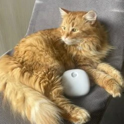 Pettadore Air Insight - Kattenbak Geurverdrijver & Teller - Actieve Zuurstof En Ionen - Oplaadbaar - Met App -Hondenserie Winkel 1200x1200 1507