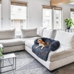 Hondenserie Winkel -Hondenserie Winkel 1200x1200 151