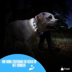 Fideli Anti Blafband - Zonder Schok - Grote En Kleine Honden - Oplaadbaar - LED Verlichte Band -Hondenserie Winkel 1200x1200 1522