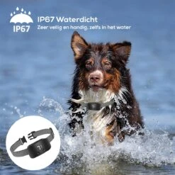 Salvano Anti Blafband - Blafband Voor Honden - Opvoedingshalsbanden - Voor Kleine En Grote Honden - Anti Blafband Zonder Schok- Oplaadbaar - Anti Blaf Apparaat - Blafband - Diervriendelijk 19 Salvano Anti Blafband - Blafband Voor Honden - Opvoedingshalsbanden - Voor Kleine En Grote Honden - Anti Blafband Zonder Schok- Oplaadbaar - Anti Blaf Apparaat - Blafband - Diervriendelijk -Hondenserie Winkel 1200x1200 1525