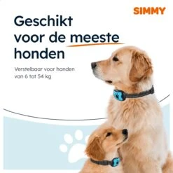 Simmy Anti Blafband - Diervriendelijke Opvoedingshalsband - Zwart En Blauw - Diervriendelijk - Zonder Schok - Anti Blaf Band Voor Grote En Kleine Honden 19 Simmy Anti Blafband - Diervriendelijke Opvoedingshalsband - Zwart En Blauw - Diervriendelijk - Zonder Schok - Anti Blaf Band Voor Grote En Kleine Honden -Hondenserie Winkel 1200x1200 1536