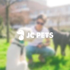 Anti Blafband - Blafband Voor Honden - Oplaadbaar - Anti Blaf Apparaat - Blafband - Diervriendelijk -Hondenserie Winkel 1200x1200 1542