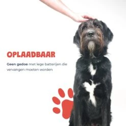 Anti Blafband - Blafband Voor Honden - Oplaadbaar - Anti Blaf Apparaat - Blafband - Diervriendelijk -Hondenserie Winkel 1200x1200 1543