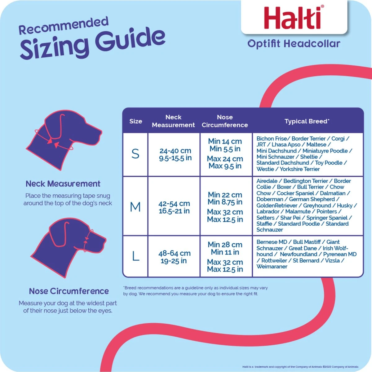 Halti OptiFit Headcollar - Hond - Anti Trekhalsband - Maat M - Voor Labrador, Boxer, Dobermann, Golden Retriever 6 Halti OptiFit Headcollar - Hond - Anti Trekhalsband - Maat M - Voor Labrador, Boxer, Dobermann, Golden Retriever - Afbeelding 4