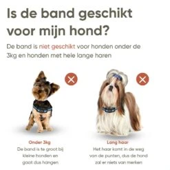 Premium Anti Blafband Apparaat Om Je Hond Snel En Effectief Te Laten Stoppen Met Blaffen - Diervriendelijke Opvoedingshalsband Zonder Schok - Trainingshalsband Voor Grote En Kleine Honden - Anti Blaf Apparaat - Correctie Halsband 13 Premium Anti Blafband Apparaat Om Je Hond Snel En Effectief Te Laten Stoppen Met Blaffen - Diervriendelijke Opvoedingshalsband Zonder Schok - Trainingshalsband Voor Grote En Kleine Honden - Anti Blaf Apparaat - Correctie Halsband -Hondenserie Winkel 1200x1200 1555