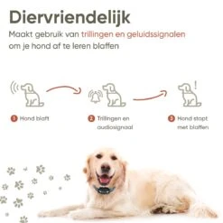 Premium Anti Blafband Apparaat Om Je Hond Snel En Effectief Te Laten Stoppen Met Blaffen - Diervriendelijke Opvoedingshalsband Zonder Schok - Trainingshalsband Voor Grote En Kleine Honden - Anti Blaf Apparaat - Correctie Halsband 14 Premium Anti Blafband Apparaat Om Je Hond Snel En Effectief Te Laten Stoppen Met Blaffen - Diervriendelijke Opvoedingshalsband Zonder Schok - Trainingshalsband Voor Grote En Kleine Honden - Anti Blaf Apparaat - Correctie Halsband -Hondenserie Winkel 1200x1200 1556