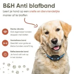 Premium Anti Blafband Apparaat Om Je Hond Snel En Effectief Te Laten Stoppen Met Blaffen - Diervriendelijke Opvoedingshalsband Zonder Schok - Trainingshalsband Voor Grote En Kleine Honden - Anti Blaf Apparaat - Correctie Halsband 15 Premium Anti Blafband Apparaat Om Je Hond Snel En Effectief Te Laten Stoppen Met Blaffen - Diervriendelijke Opvoedingshalsband Zonder Schok - Trainingshalsband Voor Grote En Kleine Honden - Anti Blaf Apparaat - Correctie Halsband -Hondenserie Winkel 1200x1200 1557