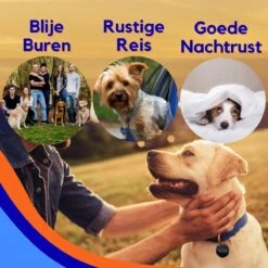 MyPets™ Anti-blafband - Anti Blaf Apparaat - Voor Kleine Honden En Grote Honden - Diervriendelijk - Opvoedingshalsband - Trainingshalsband - 2022/2023 Versie - Inclusief Batterijen 16 MyPets™ Anti-blafband - Anti Blaf Apparaat - Voor Kleine Honden En Grote Honden - Diervriendelijk - Opvoedingshalsband - Trainingshalsband - 2022/2023 Versie - Inclusief Batterijen -Hondenserie Winkel 1200x1200 1586