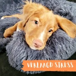 Origineel Hondendeken Voor Bank– Hondenkleed Fluffy – Pluche Hondenbed - Hondenmand Premium - Volledig Afritsbaar -Hondenserie Winkel 1200x1200 159