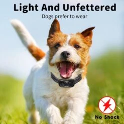 NIIYEBU Anti Blafband - Blafbanden Voor Honden - Anti Blaf Apparaat - Diervriendelijk - Zonder Schok - Vibratie En Audio 14 NIIYEBU Anti Blafband - Blafbanden Voor Honden - Anti Blaf Apparaat - Diervriendelijk - Zonder Schok - Vibratie En Audio -Hondenserie Winkel 1200x1200 1594