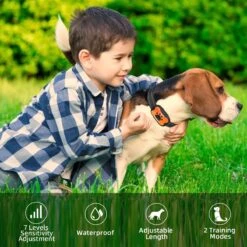 NIIYEBU Anti Blafband - Blafbanden Voor Honden - Anti Blaf Apparaat - Diervriendelijk - Zonder Schok - Vibratie En Audio 15 NIIYEBU Anti Blafband - Blafbanden Voor Honden - Anti Blaf Apparaat - Diervriendelijk - Zonder Schok - Vibratie En Audio -Hondenserie Winkel 1200x1200 1595