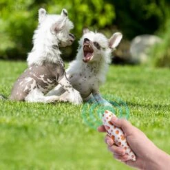 Merkloos LotaHome - Anti Blaf Apparaat - Hondentrainer Voor Binnen En Buiten - Bereik Tot 15 Meter - Diervriendelijk - Zonder Schok - Ultrasone - Voor Alle Honden - Inclusief Clicker 25 Merkloos LotaHome - Anti Blaf Apparaat - Hondentrainer Voor Binnen En Buiten - Bereik Tot 15 Meter - Diervriendelijk - Zonder Schok - Ultrasone - Voor Alle Honden - Inclusief Clicker -Hondenserie Winkel 1200x1200 1600