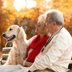 Merkloos LotaHome - Anti Blaf Apparaat - Hondentrainer Voor Binnen En Buiten - Bereik Tot 15 Meter - Diervriendelijk - Zonder Schok - Ultrasone - Voor Alle Honden - Inclusief Clicker 26 Merkloos LotaHome - Anti Blaf Apparaat - Hondentrainer Voor Binnen En Buiten - Bereik Tot 15 Meter - Diervriendelijk - Zonder Schok - Ultrasone - Voor Alle Honden - Inclusief Clicker -Hondenserie Winkel 1200x1200 1601