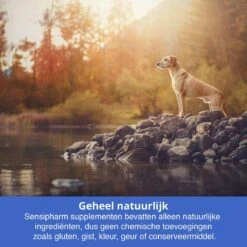 Sensipharm Bitterspray Anti Bijt Spray - Hond, Kat, Konijn & Vogel - Bitter Anti Kauw Knabbel Knaag - 100 Ml -Hondenserie Winkel 1200x1200 1607