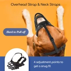 Nobleza Muilkorf Hond - Snuitomtrek 33 - Maat L - Zwart 12 Nobleza Muilkorf Hond - Snuitomtrek 33 - Maat L - Zwart -Hondenserie Winkel 1200x1200 1649