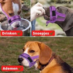 Sharon B Muilkorf Paars Maat M - Fleece - Wasbaar - Reflecterend 13 Sharon B Muilkorf Paars Maat M - Fleece - Wasbaar - Reflecterend -Hondenserie Winkel 1200x1200 1651