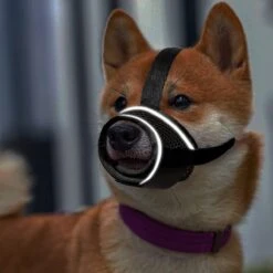 Merkloos Hoog Kwaliteit Muilkorf Met Bedrukt Patroon - Muilkorf Hond - Hondensnuit - Anti Blaf En Bijt - Voor Kleine En Grote Honden Maat M Zwart Reflecterend -Hondenserie Winkel 1200x1200 1653